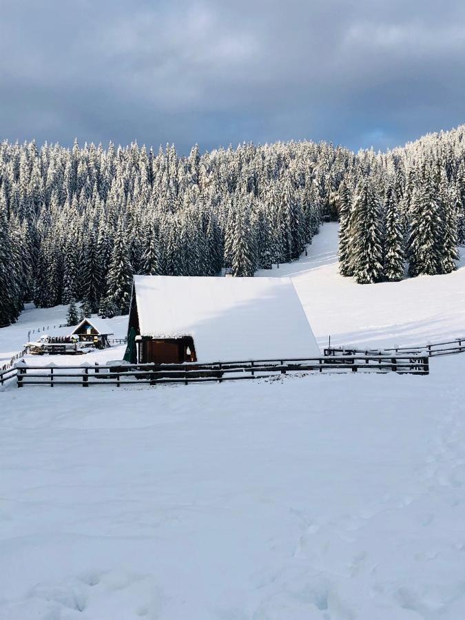 Cosy Chalet On Pokljuka - Brunarica Tinkara Zgornje Gorje Eksteriør bilde