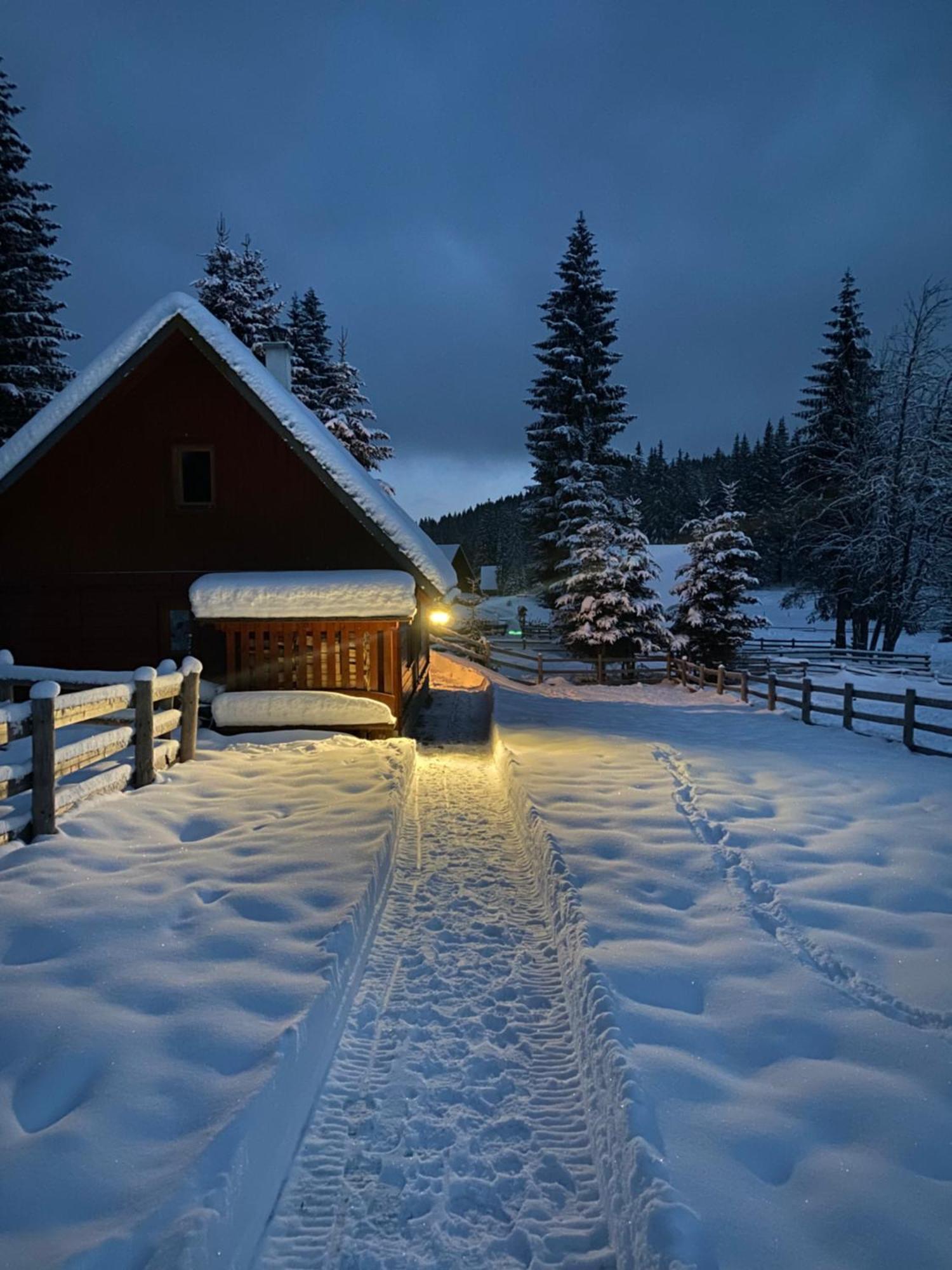 Cosy Chalet On Pokljuka - Brunarica Tinkara Zgornje Gorje Eksteriør bilde