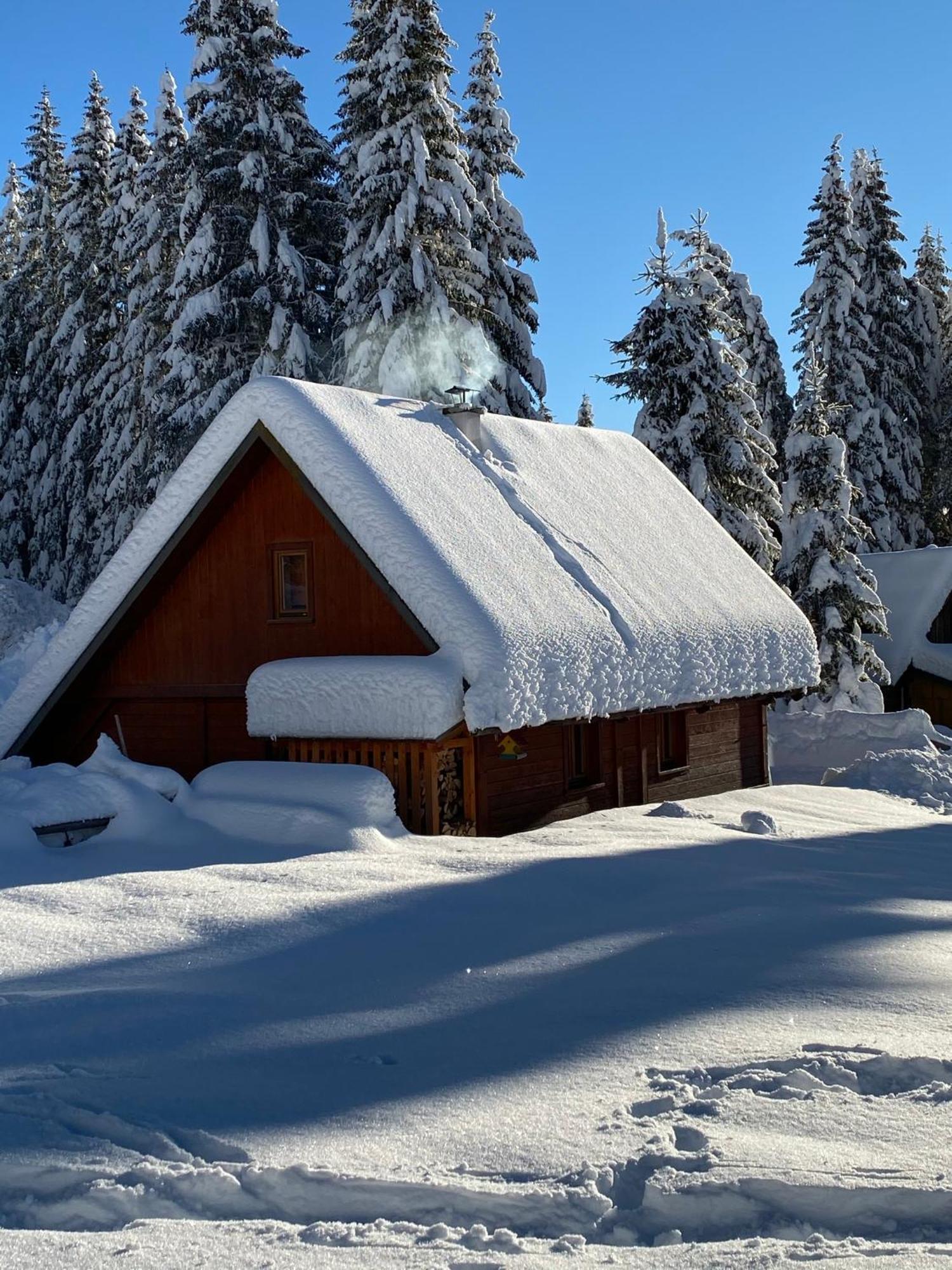 Cosy Chalet On Pokljuka - Brunarica Tinkara Zgornje Gorje Eksteriør bilde